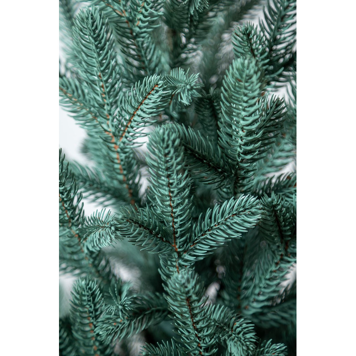 Ялинка лита 'Віденська' в горщику блакитна 0,90м