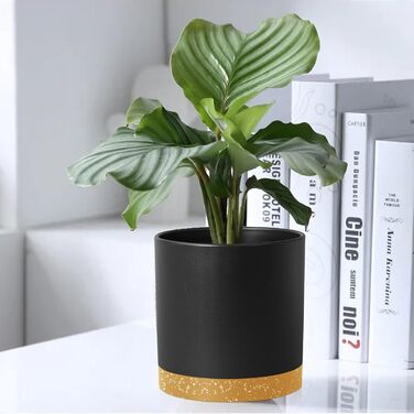 Набір горщиків для квітів 5 шт. з підставками, 17.8/15.2/14/12.7/10.2 см, пластик, для дому та балкону, чорний з коричневою підставкою