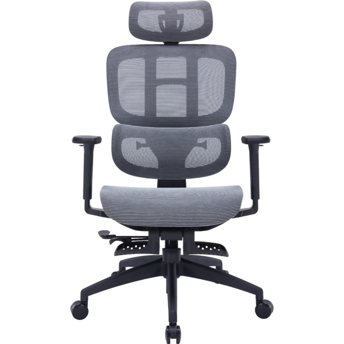 Крісло офісне OfficePro Skyline OC750-B-DG-DG