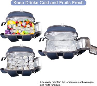 Набір для пікніка Sunflora з ізольованим контейнером та пледом, пікнік-кошик для кемпінгу та відпочинку на природі (Блакитний & Смужки), на 2 особи