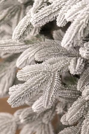 Ялинка лита 'Лапландська' ЗАСНІЖЕНА 2,50м