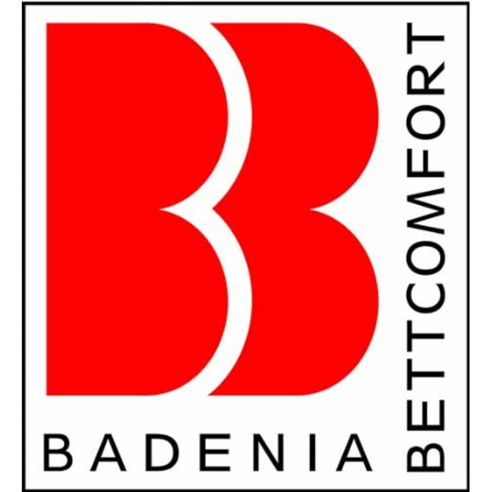 Подушка Badenia Bed Comfort 03460100108 Irisette Millet 40 x 80 см натуральна