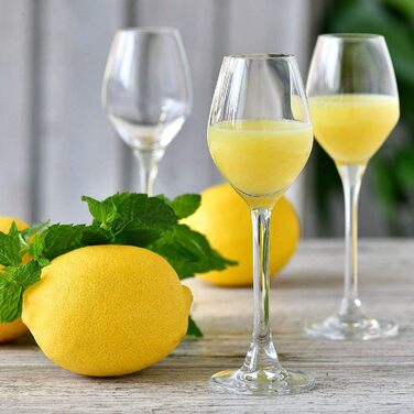 Набір келихів для шампанського KROSNO Champagnergläser Set (6 шт.) | 210 мл | Колекція Splendour | Крістал, без свинцю | Елегантний дизайн з високою ніжкою | Для шампанського, просекко та святкових випадків