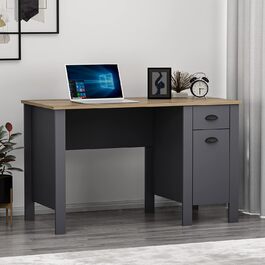 Комп'ютерний стіл - робоче місце з шухлядою та місцем для зберігання з дверцятами в сучасному дизайні для домашнього офісу або дитячої кімнати (/Oak) (Antrachite / Briarsmoke)