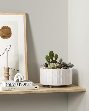 Набір горщиків для сукулентів LE TAUCI, 16,5+20 см, кераміка, для дому, з дренажними отворами, сучасний циліндричний дизайн, 2 шт. (білий)