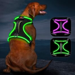 Шлейка для собак зі світлодіодним підсвічуванням M Green