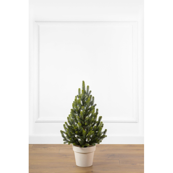 Ялинка лита 'Віденська' в горщику ВЕСНЯНА 0,70м