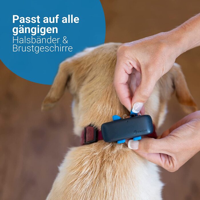 Тяговий GPS-трекер для собак. Рекомендовано Мартіном Рюттером. Відстеження в реальному часі з необмеженим охопленням. Водонепроникний і з сигналізацією про розлив (темно-синій)