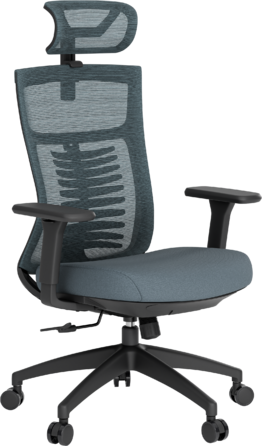 Крісло офісне OfficePro Balance OC550-B-DG-DG