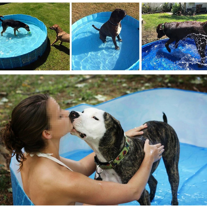 Басейн для собак середній - 120 см, 8001 Chill Out - Splash and Fun -