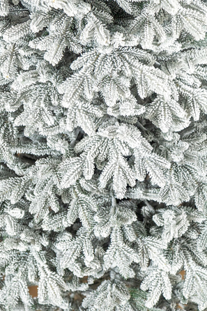 Ялинка лита 'Альпійська' ЗАСНІЖЕНА 2,30м