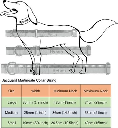Класичні нейлонові Нашийники Hyhug Martingale нашийник для собак із захистом від втечі. 3-метрова світловідбиваюча смуга, зручне регулювання, безпечна нічна прогулянка (великий розмір,) (Маленький Ширина 19 ммДіапазон регулювання 26,5 см-400 см, максималь