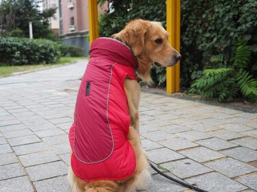 Тепла куртка Idepet для собак, водонепроникний зимовий костюм для домашніх тварин, світловідбиваючий вітрозахисний одяг для собак для маленьких і середніх собак Червоний Чорний М червоний