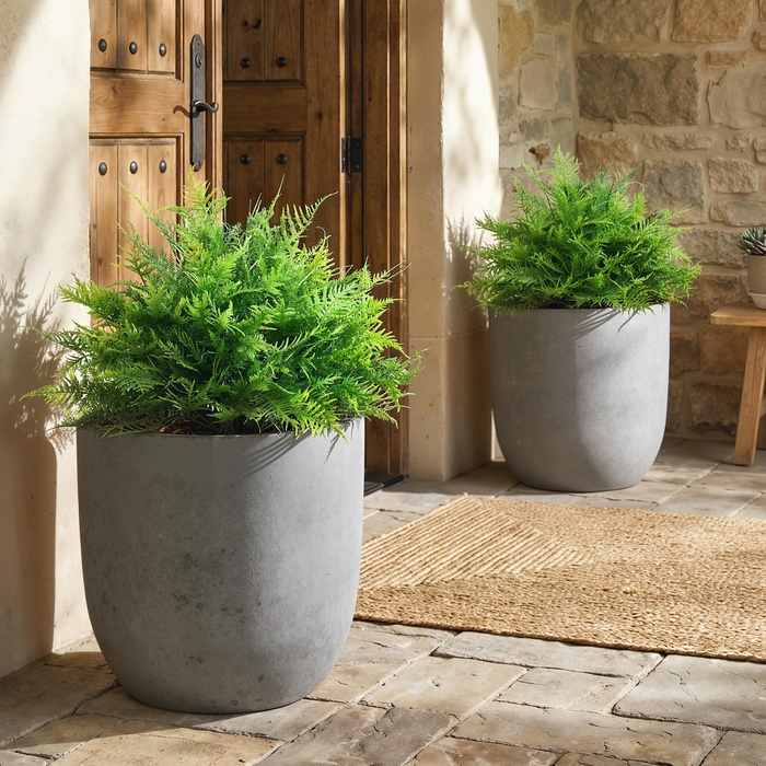 Штучні папороті Бостон, стійкі до УФ-випромінювання, штучні рослини на стеблах, набір з 2 шт., 60 см для саду, тераси