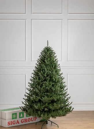 Ялинка лита 'Міланська' ПАРАСОЛЬКА ЗЕЛЕНА 2,30м