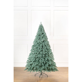 Ялинка лита 'Лапландська' ПАРАСОЛЬКА БЛАКИТНА 2,30м