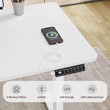 Електричний регульований стіл WOLTU, 120x60 см, білий. З USB-портом, функцією пам'яті, для офісу та дому. Ергономічний стіл для роботи за комп'ютером