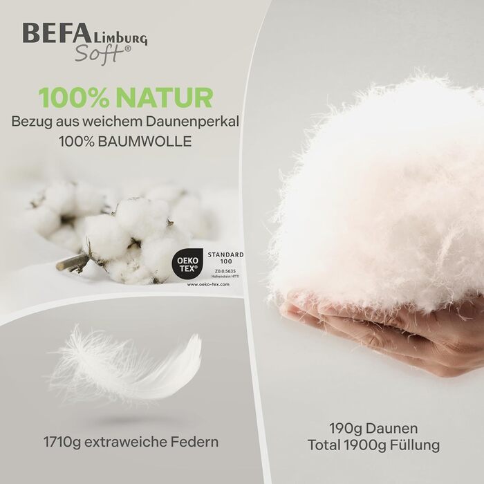 Пухова ковдра BEFA SOFT Daunendecke Winter 100x135 см, 90% перо та 10% пух, дихаюча та легка у догляді, для алергіків (NOMITE), захист тварин (DOWNPASS), Oeko-TEX Клас 1, виготовлено в Німеччині