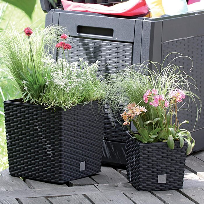 Квадратний горщик для квітів Prosperplast Rato, антрацит, 64 л, 39x39x40,5 см