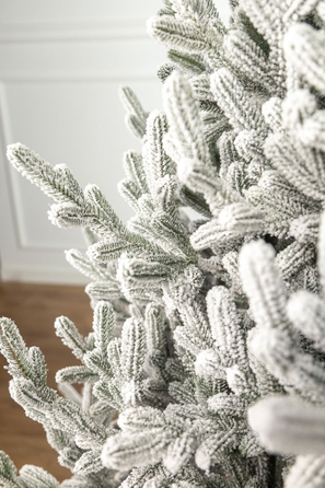 Ялинка лита 'Віденська' ЗАСНІЖЕНА 2,30м