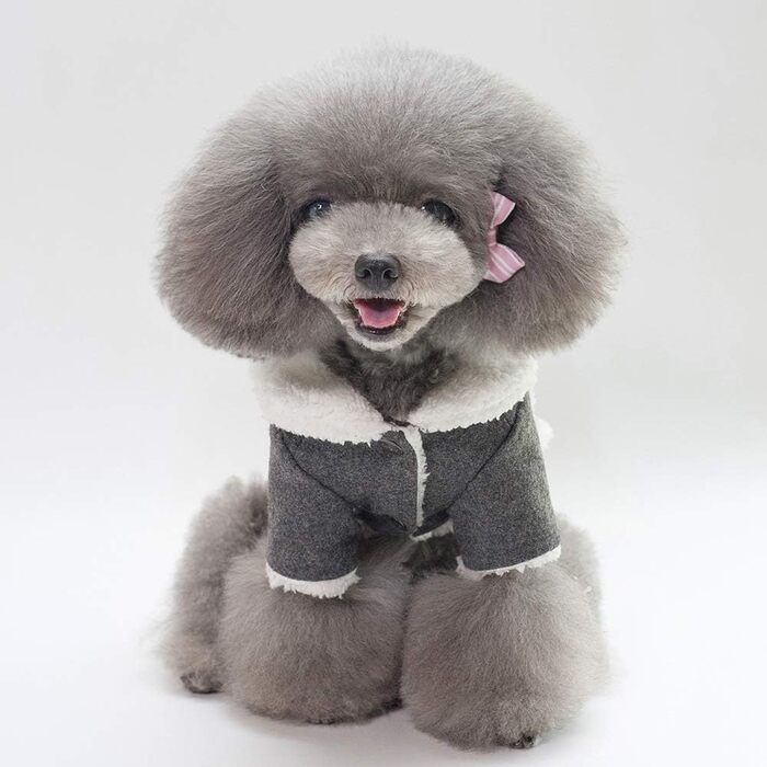 Одяг для маленьких собак на осінь і зиму, жилет з прохолодною тканини в британському стилі, зручна куртка, пальто з хутряним коміром, для маленьких собак розміром з сідло (м, сірий)