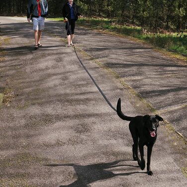 Повідець Cokomono для собак, 5 м / 10 м / 15 м / 20 м міцний повідець для собак від маленьких до великих, тренувальний і тренувальний Повідець з рефлекторами, ремінцем на зап'ясті і сумкою для зберігання, Чорний 15 м