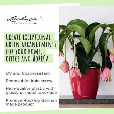 Кашпо Lechuza Classico Premium 21 LS, Комплект, Білий, 22x22x20 см, Високий Глянцевий, Одиничний