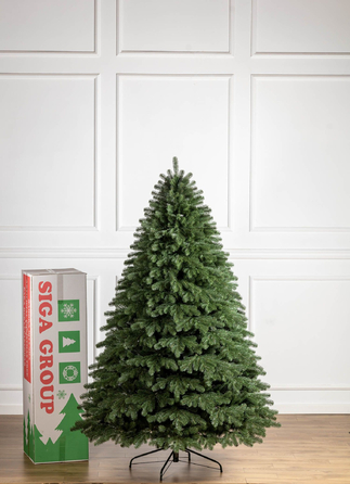 Ялинка лита 'Версальська' ПАРАСОЛЬКА ЗЕЛЕНА 2,50м