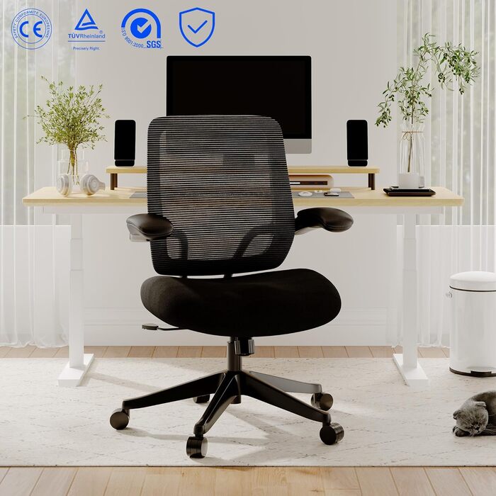 Крісло офісне FLEXISPOT чорне, 227 кг, регульовані підлокітники, для дому/офісу, з товстим сидінням, поворотне, OS2