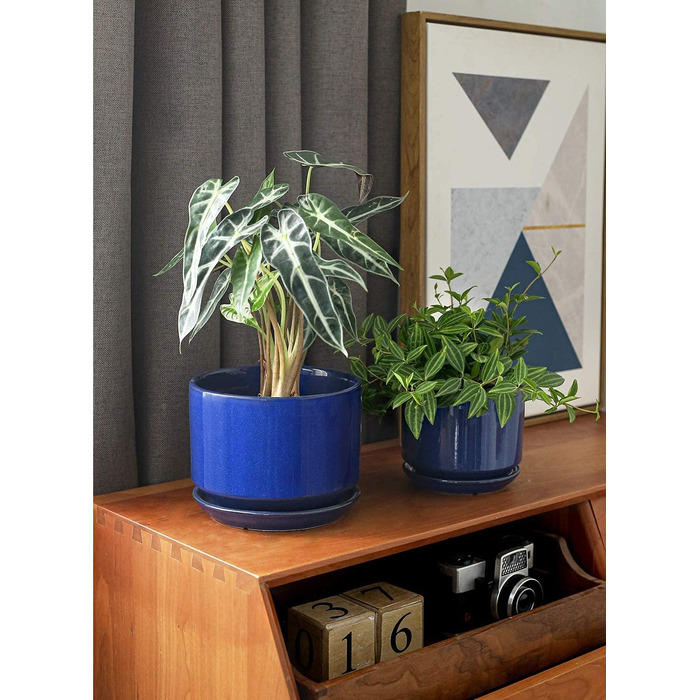 Набір керамічних горщиків LE TAUCI 3 шт. (11, 13, 17 см), горщики для кімнатних рослин з підставкою та дренажним отвором, реактивна глазур (бежевий, сапфіровий блакитний)