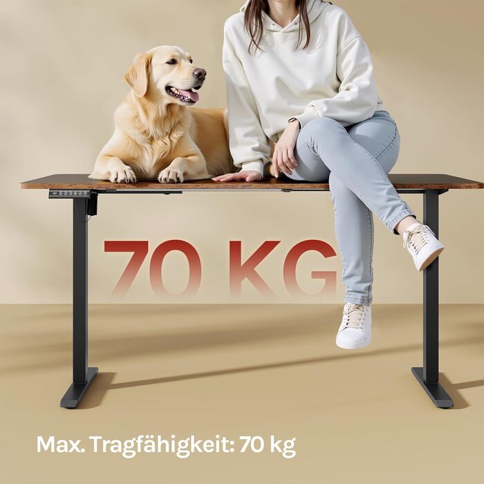 Підставка для столу WOLTU, електрична, регульована висота та ширина, 4 пам'яті, USB-порт, чорна