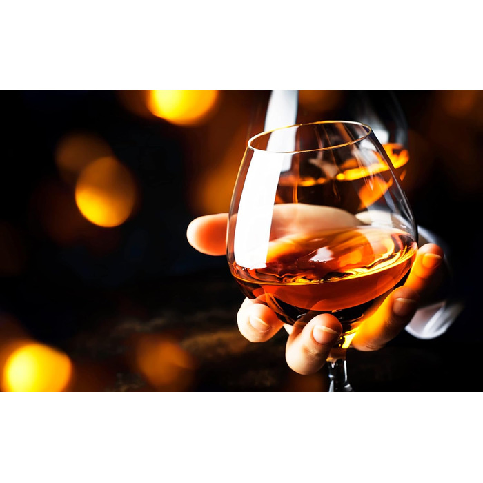 Набір келихів для коньяку Topkapi Elite 66123 Maxime Clement XL (2 шт.), 500 мл, склокристал, без свинцю, для посудомийної машини