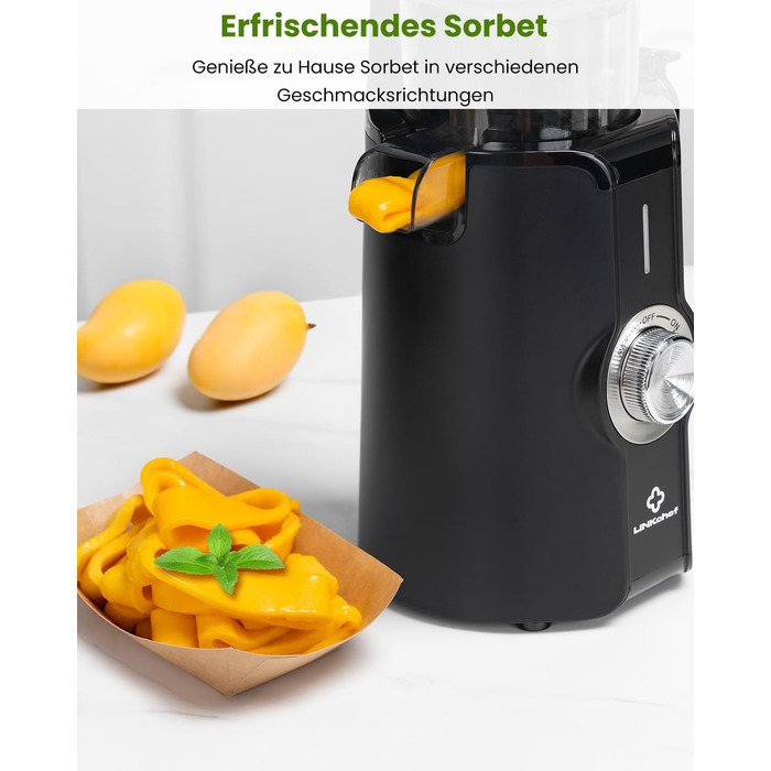 LINKChef Slow Juicer: Холодне віджимання овочів та фруктів, 115 мм, чорний, BPA Free