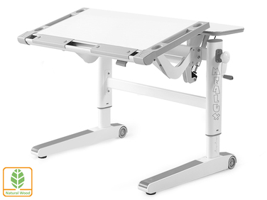 Дитячий стіл Mealux Ergowood L Multicolor W (арт. BD-810 W/MC)