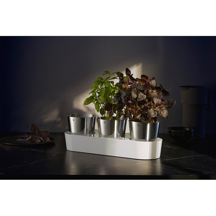 Набір горщиків для трав WMF Gourmet з системою поливу, 3 шт., для кухні, 36x12,5x12,5 см, білий, для свіжих трав