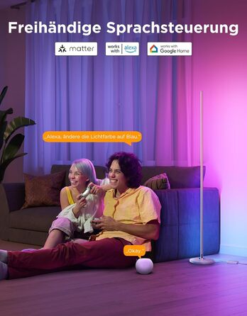 Govee RGBIC LED Торшер WiFi, Диммування, Alexa & Matter, 16 млн кольорів, 85 режимів, Музичний режим, DIY, для вітальні, спальні, геймінгу (Срібний, 1 шт)