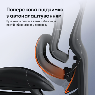 Ергономічне офісне крісло SIHOO Doro C300 Pro black з підлокітниками 6D та підтримкою попереку