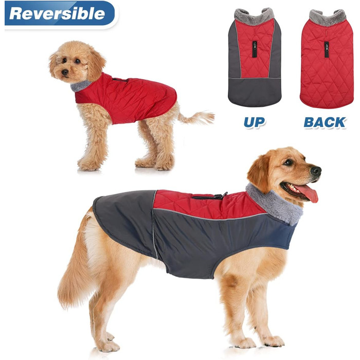 Тепла собача шуба Besmall для маленьких і середніх собак, куртка для собак з бавовняною підкладкою, водонепроникна, вітрозахисна для зими, змінний дизайнерський одяг (XL,) (XL (розмір грудей60-70 см), бордово-червоного кольору)