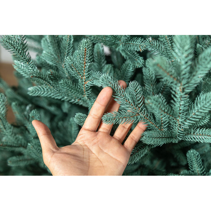 Ялинка лита 'Віденська' Блакитна 3,00м