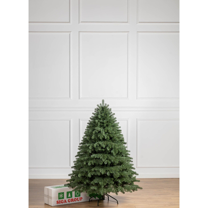 Ялинка лита 'Версальська' Зелена 1,80м