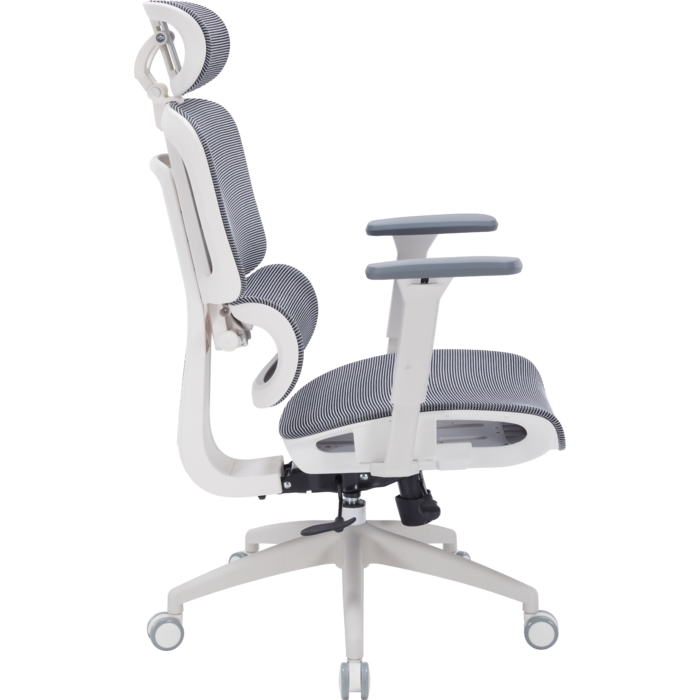 Крісло офісне OfficePro Skyline OC680-W-DG-DG