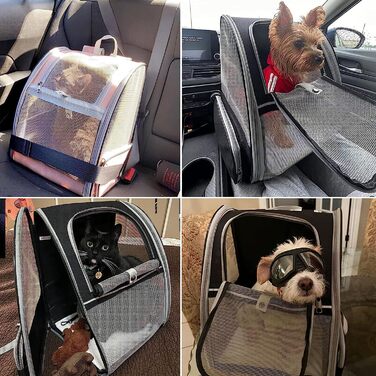 Рюкзак для собак hykiee рюкзак для кішок, рюкзак для домашніх тварин для маленьких собак, цуценят, від 6 кг до 8 кг, дихаючий і складаний переносний ящик з вікном і внутрішнім захисним повідцем для піших прогулянок, чорний