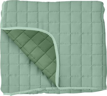 Ковдрове покривало Двоспальне плед - Плед ковдри - М'яке та можна прати в пральній машині - Легка літня ковдра, стьобане покривало (двоколірне см) (260X260, зелений / шавлія)