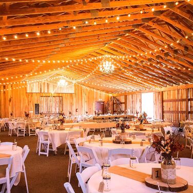 Ланцюжок гірлянд GLUROO для вулиці, диммування, 45.7 м, вологостійкий, з пульт дистанційного керування, 75+2 лампочки G40, LED, для саду