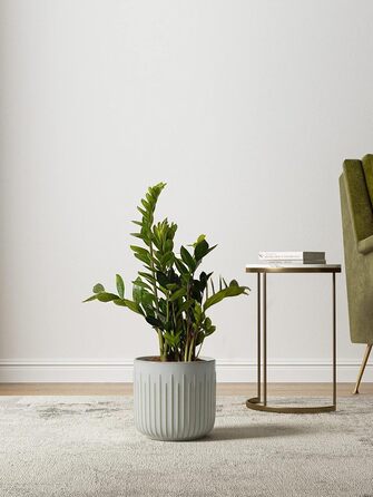 Набір горщиків для квітів LE TAUCI, 3 шт., кераміка, 21+17+14 см