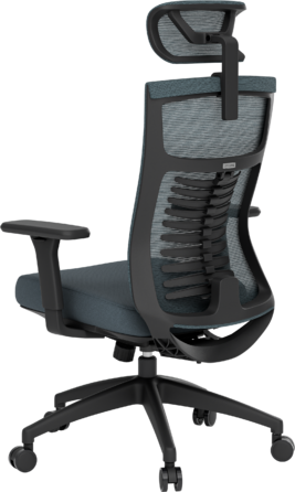 Крісло офісне OfficePro Balance OC550-B-DG-DG