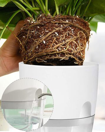 Набір горщиків для трав на кухню, самополивний набір 3 шт. для вирощування свіжих кухонних трав, 18.2x11x15.3 см, білий (5 шт.)