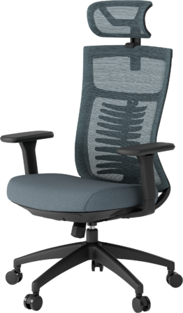 Крісло офісне OfficePro Balance OC550-B-DG-DG