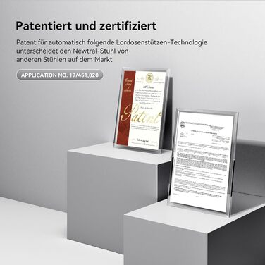 Офісне крісло Newtral Ergonomic NT002 з регульованою підголівником та підлокітниками (сірий), знімний стіл