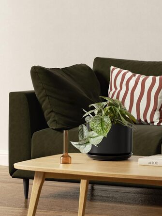 Набір горщиків для квітів LE TAUCI 3шт, кераміка, 11/13/17 см, з підставками та дренажними отворами, реактивна глазур, бежевий (чорний)